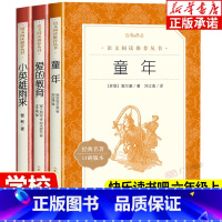 [3册]爱的教育+童年+小英雄雨来 [正版] 爱的教育+童年+小英雄雨来 六年级上册课外书阅读书 快乐读书吧阅读书籍三年