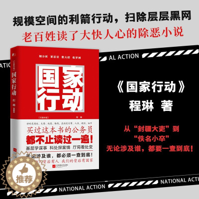 [醉染正版]正版 国家行动小说 程琳著 张译主演同名电视剧原著小说长篇反腐刑侦 人民的名义天局同类 官场小说现当代文