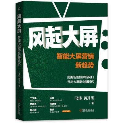 正版新书]风起大屏智能大屏营销新趋势马涛,黄升民9787111689133