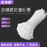 巡津捷自锁式尼龙扎带 理线带束线绑带 2.5*200mm 100根/包ZD-25200白