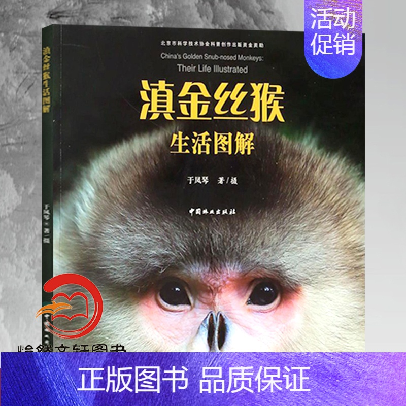 [正版]滇金丝猴生活图解 9496 北京市科协科普创作出版资金资助项目 灵长类动物人类近亲中国林业出版社直营书