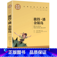 彼得潘金银岛 [正版]5本25元傲慢与偏见原着原版 初中高中小学生课外阅读书籍小说 青少年名著书籍 成人阅读名著书籍名家