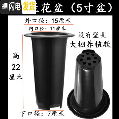 三维工匠塑料加厚加高兰盆带壁孔和不带壁孔款式花盆底自带沥水罩 6号兰花盆[5寸]没有拖盘 20个[同号]花盆容器