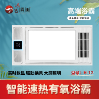 添艺顶美 智能电器 浴霸(H-12)安全速热 强劲双核取暖浴霸卫生间 多功能浴室暖风SENSHIMD
