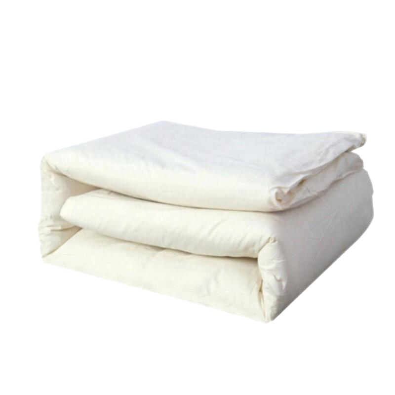 洛菲源 白棉褥 单位职工宿舍常用棉花褥子垫絮120*200/4斤 条