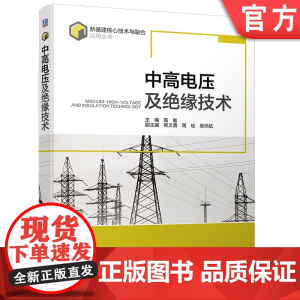 正版 中高电压及绝缘技术 高嵬 介质电气强度 电子崩 流注理论 沿面放电 泄漏电流 数字测量 在线检测 输电线路 绕