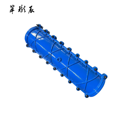 萃珑辰 球墨铸铁加长堵漏器(包PE管)DN200*1000 个