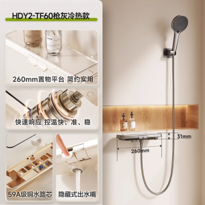 惠达(HUIDA) -TF60/TF60S 惠达简易淋浴花洒套装家用浴室恒温数显分体式沐浴无顶喷