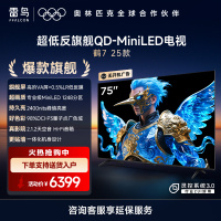 雷鸟 鹤7 25款75英寸 0.5%LR低反膜QD-MiniLED HVA屏 一级能效家电国家补贴75R695C