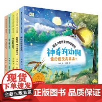 动物探秘绘本全套5册儿童绘本3到6岁读物经典必读幼儿园阅读老师2-4-5-6岁小班中班大班科普故事书适合三岁四五岁幼儿早