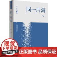 [出版社自营]同一片海 广东人民出版社 王溱当代文学长篇小说