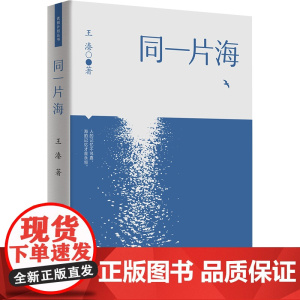 [出版社自营]同一片海 广东人民出版社 王溱当代文学长篇小说