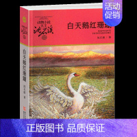 白天鹅红珊瑚 [正版]后一头战象沈石溪小学四年级五年级全集全套书浙江少年儿童出版社非注音版完整版动物小说大王品藏书系课外