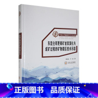 [正版]东昆仑那更银矿岩浆演化与成矿过程的矿物微区技术示踪陈晓东 书自然科学书籍