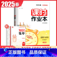 九年级下册道德与法治人教版江苏专用 九年级下 [正版]2025课时作业本九年级上册下册语文数学英语物理化学道德与法治历史