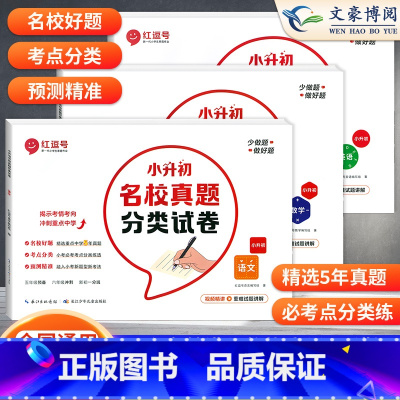 [全3册]小升初名校真题语数英 小学升初中 [正版]小升初名校真题卷分类试卷 语文数学英语小升初真题卷五六年级人教版期末
