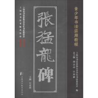 音像张猛龙碑宣家鑫 主编