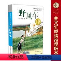 野风车 [正版]书籍草房子 曹文轩纯美小说系列 青铜葵花天黑了细米野风车红瓦黑瓦山羊不吃天堂草三四五六年级小学生课外阅读