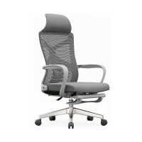 初嘉(CJ)BGY-25人体工学椅电脑椅撑腰办公椅家用老板椅电竞椅靠背转椅座椅