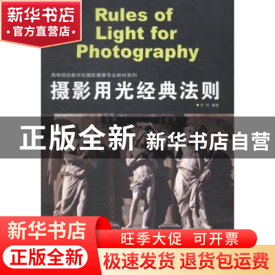 正版 摄影用光经典法则 齐欣编著 上海人民美术出版社 9787532289