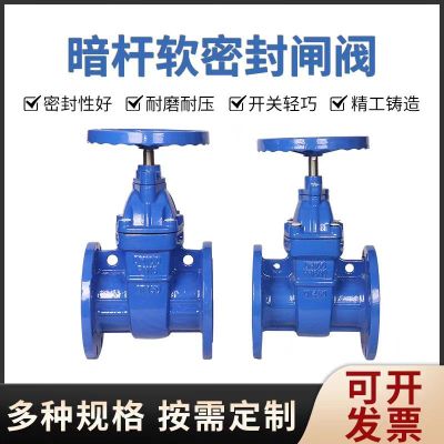 中锦科技 软密封法兰闸阀 多功能闸阀 DN65 台