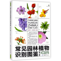 音像常见园林植物识别图鉴(第2版)(精)编者:吴棣飞//尤志勉