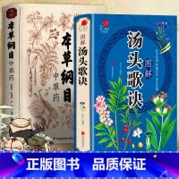 [正版]本草纲目+汤头歌诀 精编中草药 李时珍版中草药彩图中医基础理论偏方秘方大全书 原版全套医学中草药材书籍图解中医