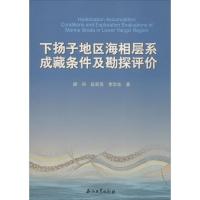 正版新书]下扬子地区海相层系成藏条件及勘探评价梁兵9787502197