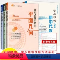 [6本]平面几何+代数 七八九年级 初中通用 [正版]爱与恨的初中平面几何七八年级优与雅的初中代数九年级黄东坡培优新方法