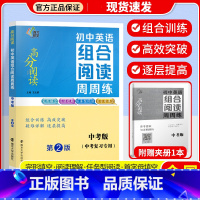 初中英语组合阅读周周练 九年级 [正版]2023新版南大励学高分阅读初中英语组合阅读周周练初一二下册中考第2版阅读理解完