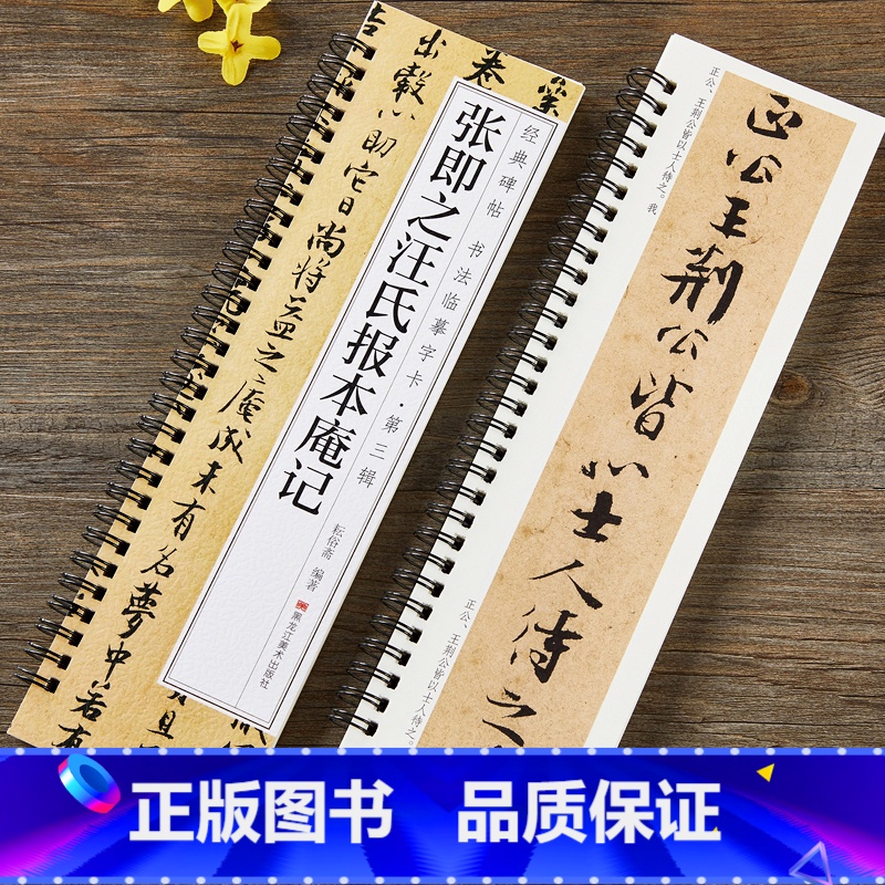 [正版]张即之汪氏报本庵记行楷行书毛笔书法字帖 南宋经典碑帖书法临摹字卡原大加放大版附简体旁注 近距离临摹字卡 黑龙江