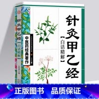 [正版]全新 针灸甲乙经白话精解 中医药经典著作中华养生经典白话精解养生经中医参考书籍中医养生保健中医学入门书籍类