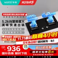 华帝(vatti)5.2KW火力燃气灶天然气大火单灶具双眼灶厨房家用嵌入式钢化玻璃离子熄火保护烈焰不糊锅i10073B
