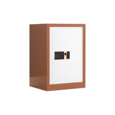 铭威盾保密柜财务档案柜文件柜办公室资料储物柜保险柜电子密码国保锁单门咖白-指纹密码锁常规