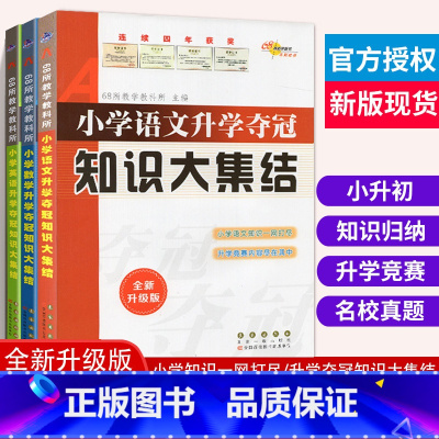[语数英3册]知识大集结 小学升初中 [正版]小升初知识大集结小学语文升学夺冠基础重点知识大全通用版数学英语小学生一二三