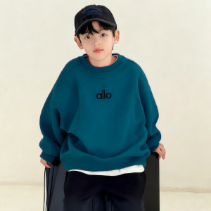 男童卫衣春秋款2026新款痞帅男孩衣服大儿童装春季打底衫春装上衣