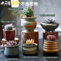 三维工匠多肉花盆陶瓷肉肉植物粗陶透气创意个性大口径中小号盆器 组合9(6个) 中等花盆容器