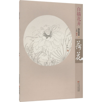 白描花卉写生范本 荷花