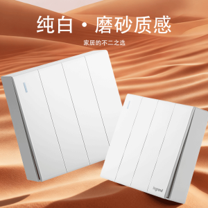 罗格朗 四位单控开关 明装 MP/34/1/2D 个