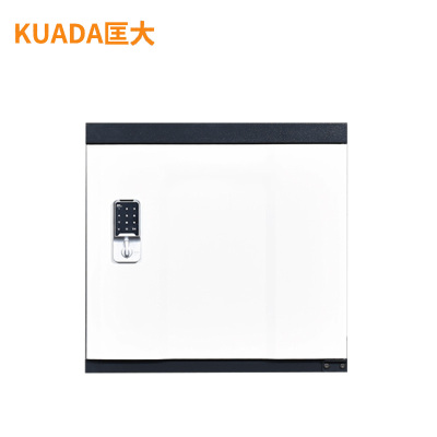 匡大 档案防磁柜 磁盘柜 防火防潮 密码锁 两抽信息安全档案柜400mm*440mm*500mmKDT212