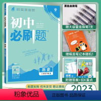 历史 八年级下 [正版]2023新版 初中八年级下册历史 人教版RJ 初二下册历史同步训练练习册练习题复习资料 理想树八