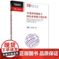分类改革视角下国有企业数字化转型/人大国发院智库丛书/国