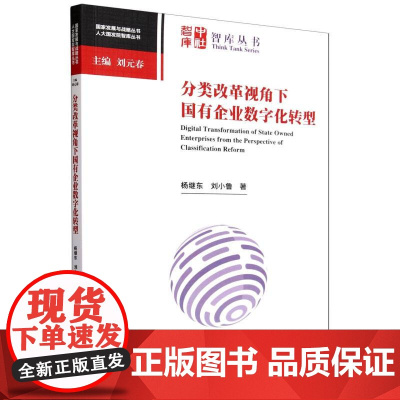 分类改革视角下国有企业数字化转型/人大国发院智库丛书/国