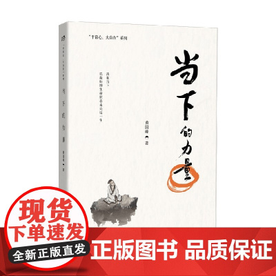 当下的力量 黄国峰 著 心理学