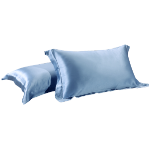 美帮汇重磅真丝枕套色枕头套柔软桑蚕丝绸蚕丝枕套单只风