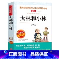 大林和小林 [正版]城南旧事 林海音原著完整版名著儿童文学三四五六年级中小学生课外书籍老师骆驼的样子小英雄雨来宝葫芦的秘