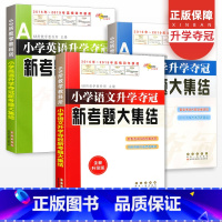 [正版]小学升学夺冠新考题大集结语文数学英语全套六年级小升初真题卷题小学毕业升学总复习资料包小考专项训练知识大全名校