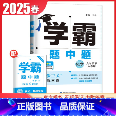 [正版]人教版2025学霸题中题化学九年级下册 中考同步初三课时提优专题整合提优铸就学霸 初中辅导练习册 9年级下 内附
