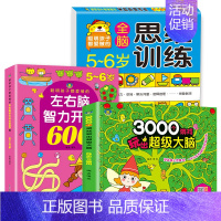 [正版]全套3册5-6岁左右脑智力开发600题儿童潜能开发全书3000个游戏玩出超级大脑开发训练书幼儿数学启蒙逻辑思维训