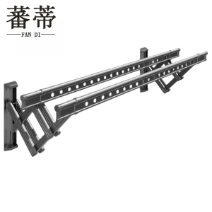 蕃蒂